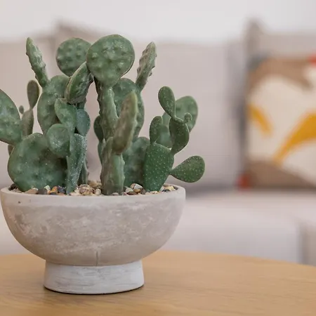 Home2book Duna Sunset Apartment, Pool & Terrace Apartment Corralejo